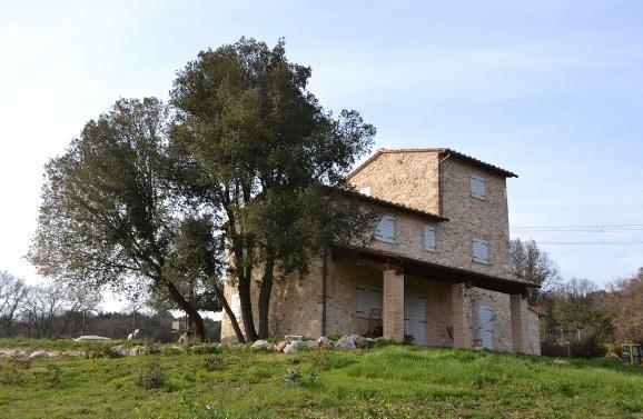 Agriturismo Surripa Amelia Luaran gambar